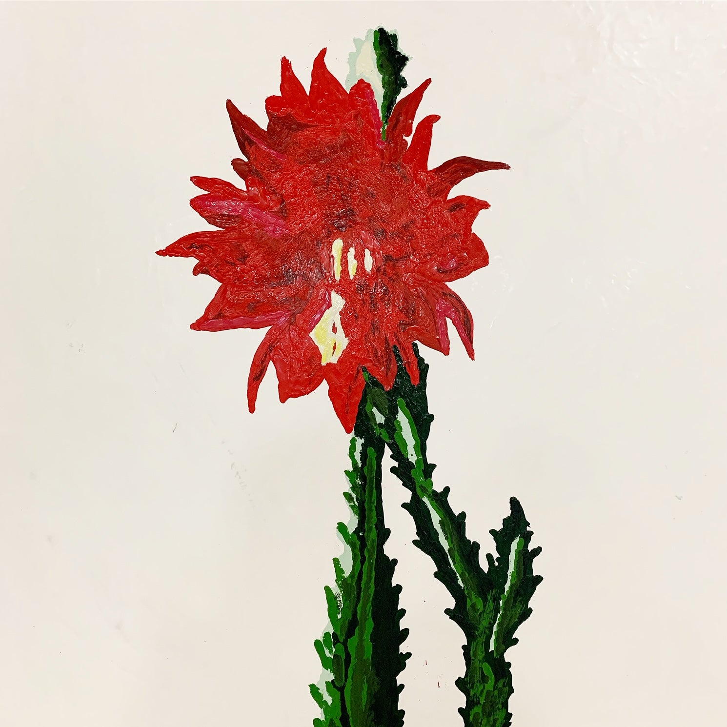 Botanical, 5. - FORSYTH