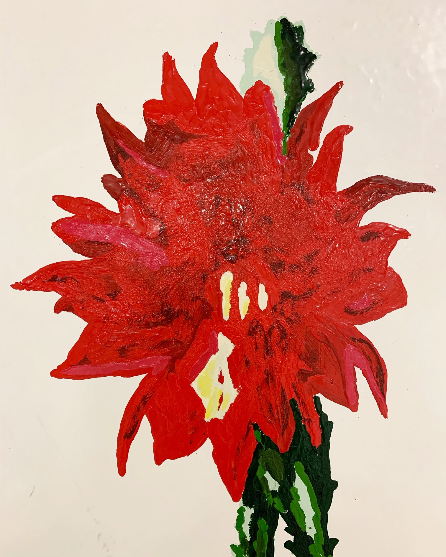Botanical, 5. - FORSYTH
