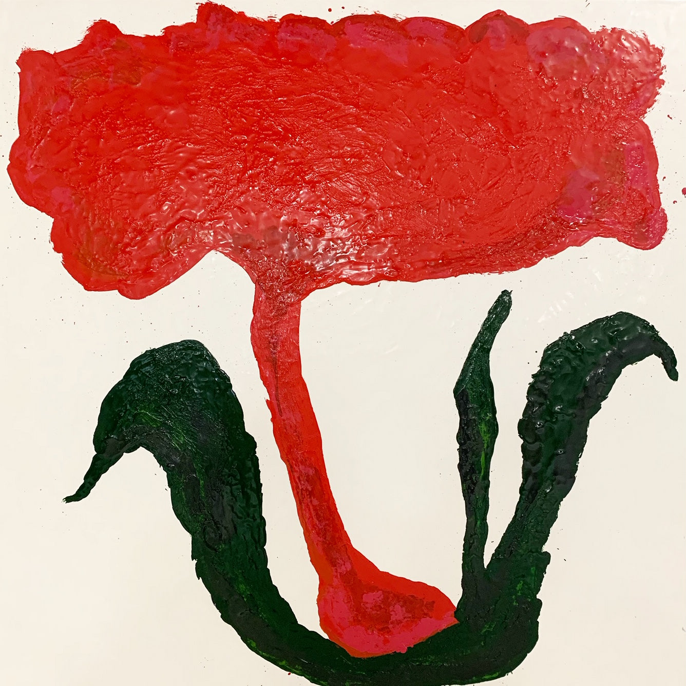 Botanical, 6. - FORSYTH