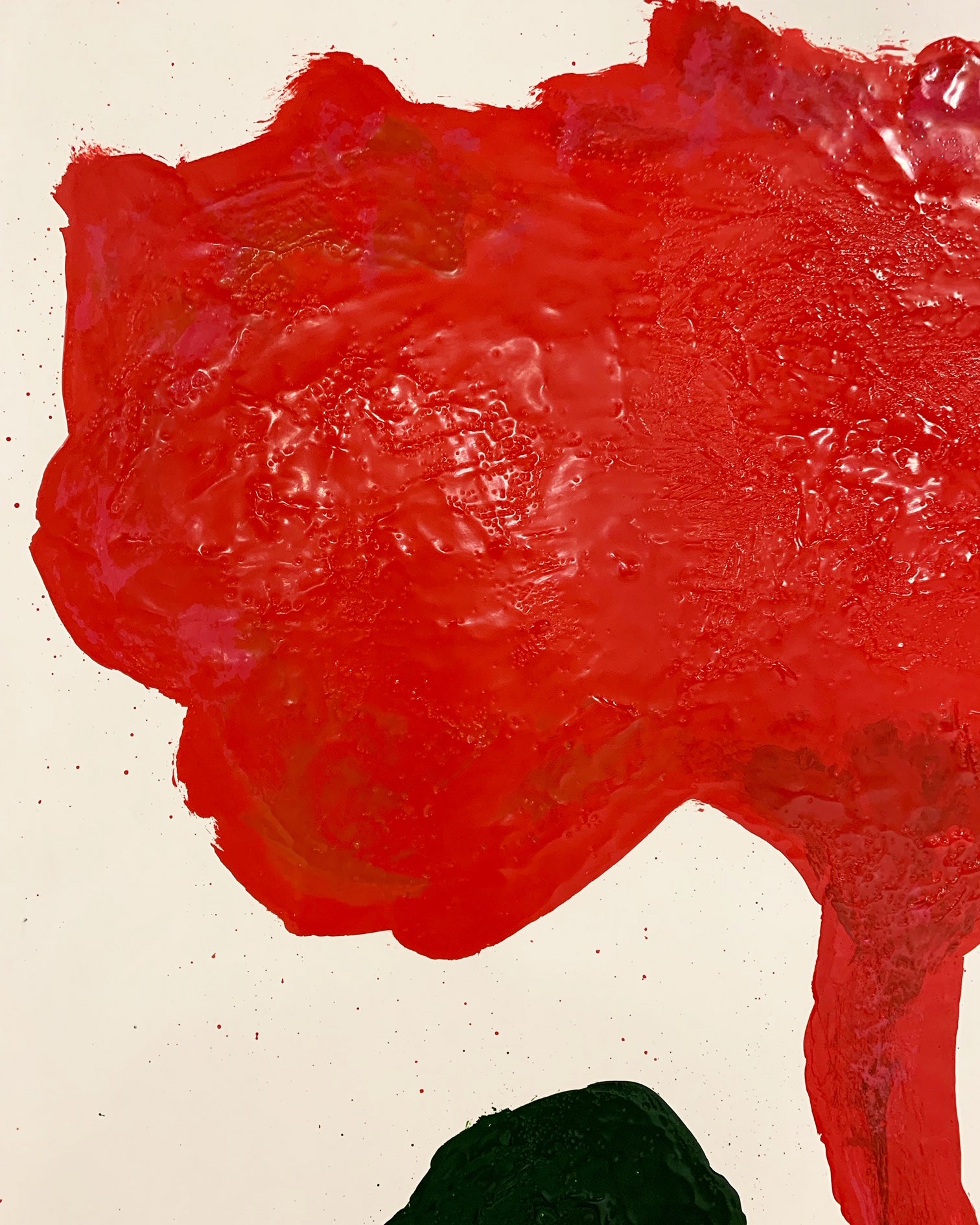 Botanical, 6. - FORSYTH