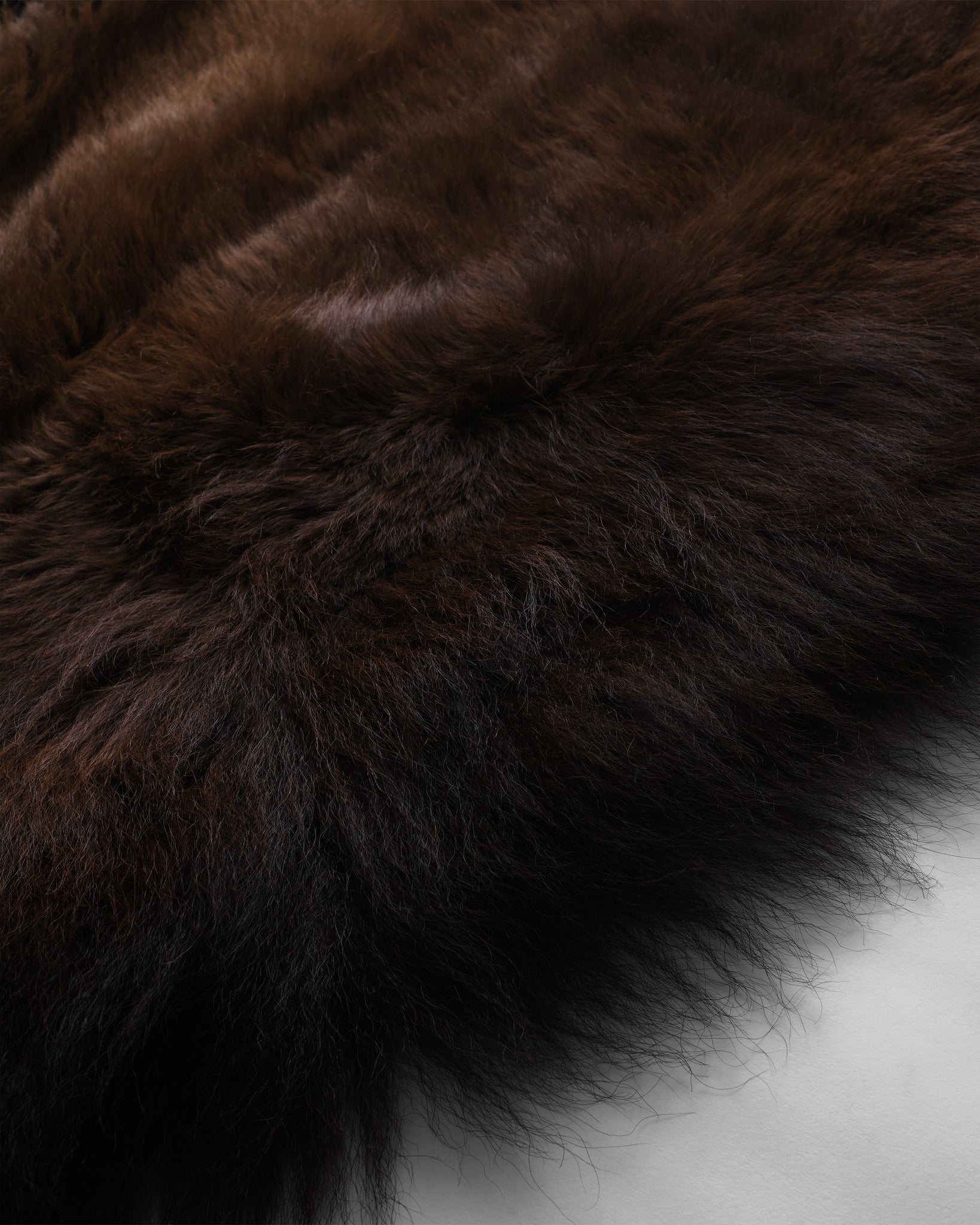 Bison Hide Rug – FORSYTH