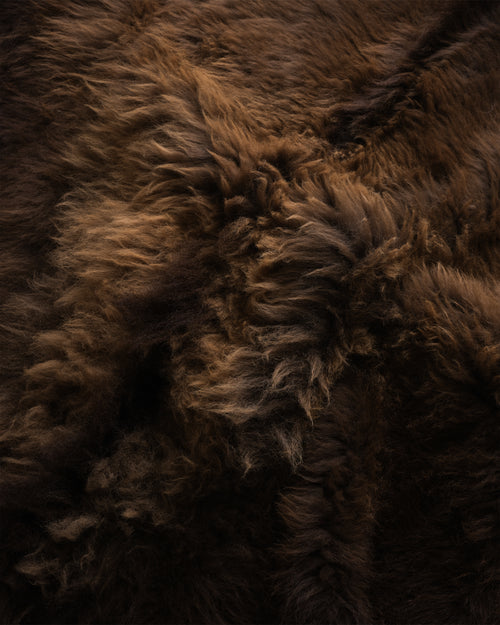 Bison Hide Rug