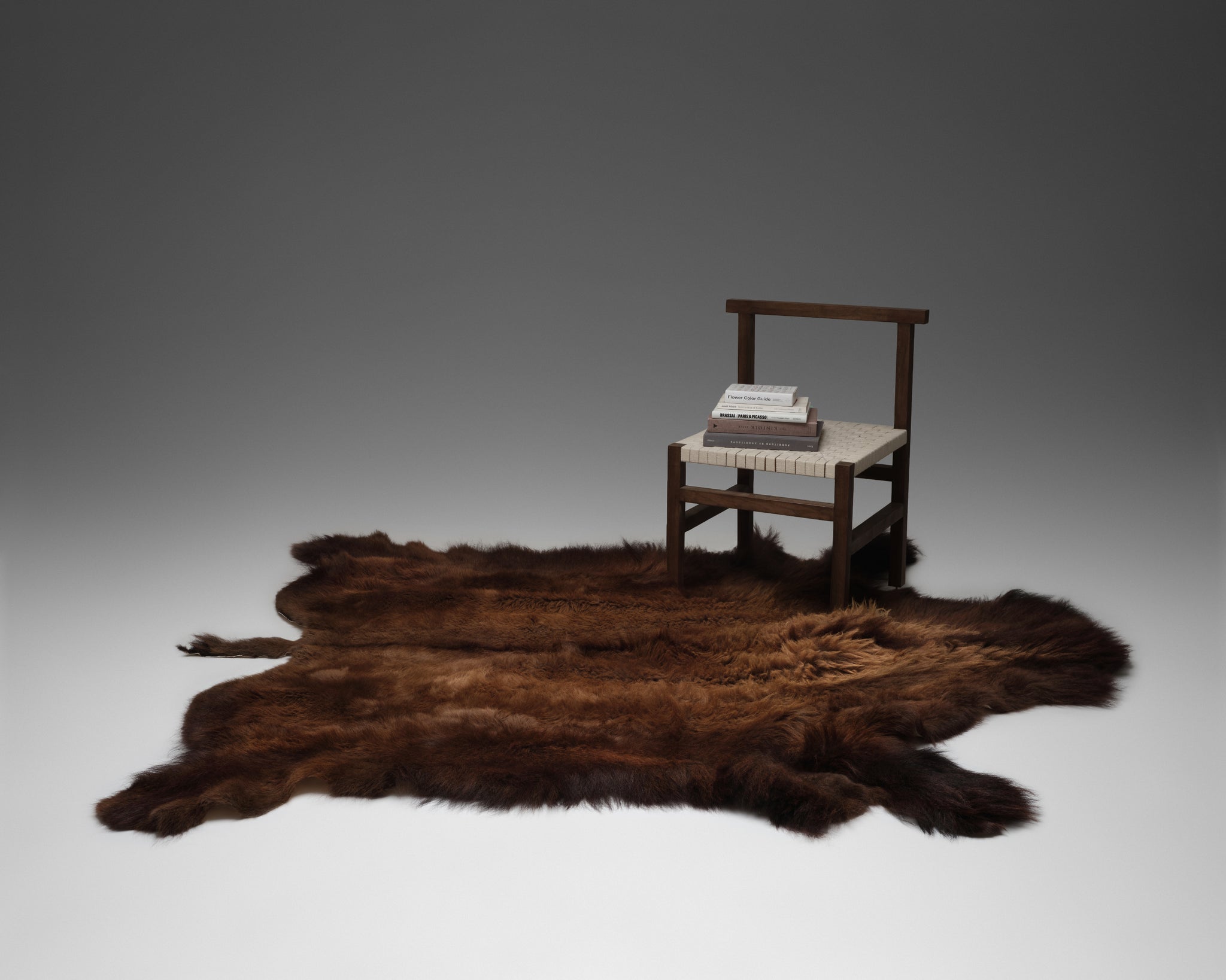 Bison Hide Rug