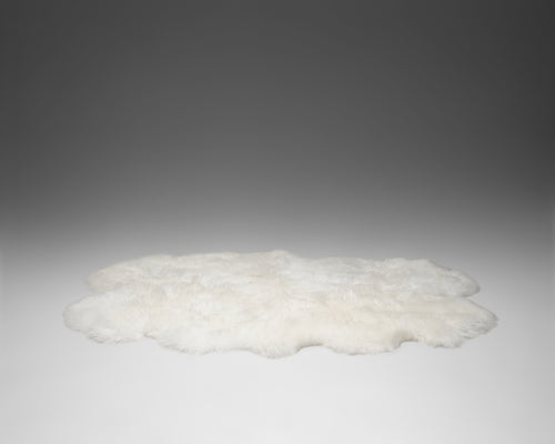 New Zealand Sheepskin Quad Rug - Ivory