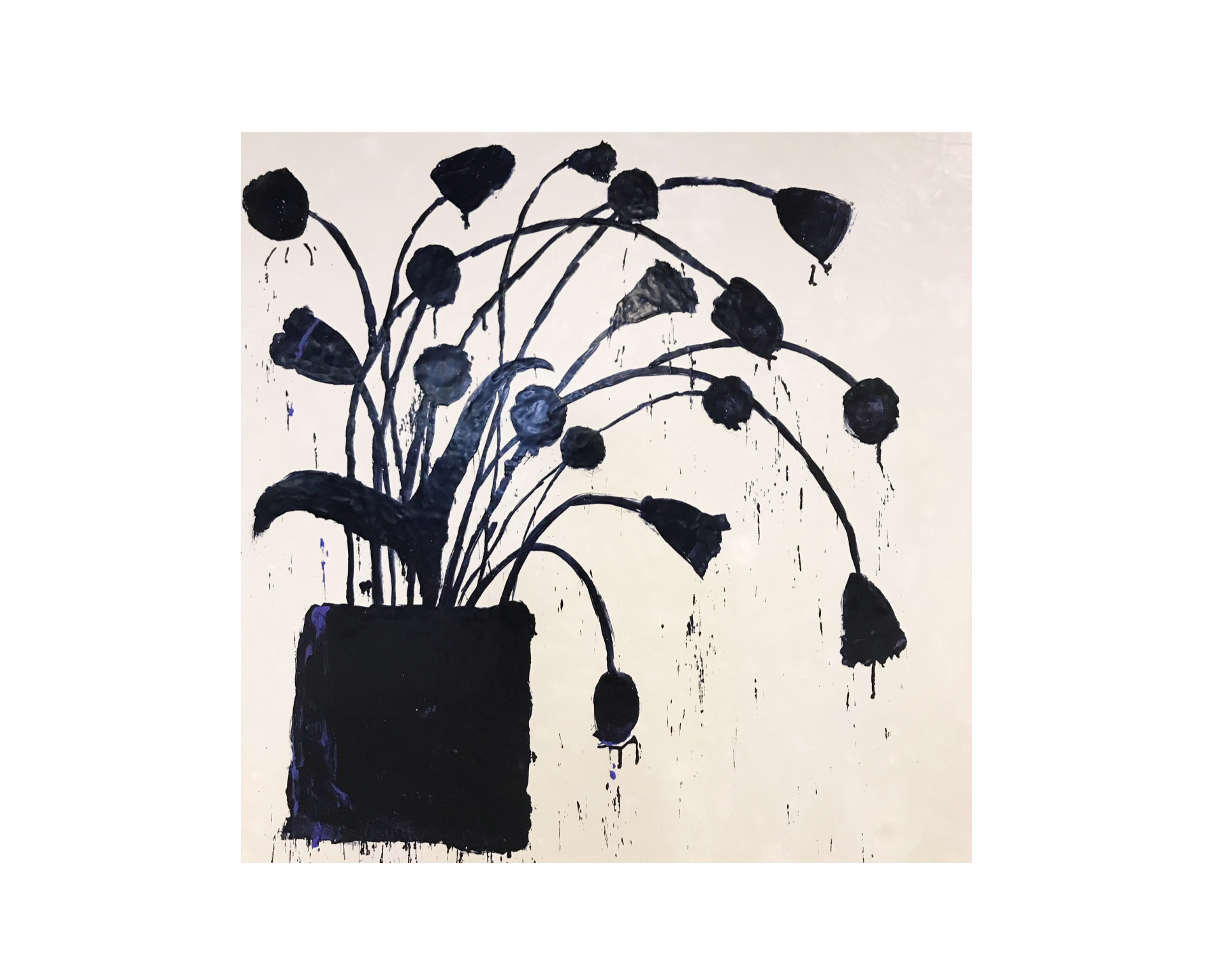 Botanical, 15. - FORSYTH