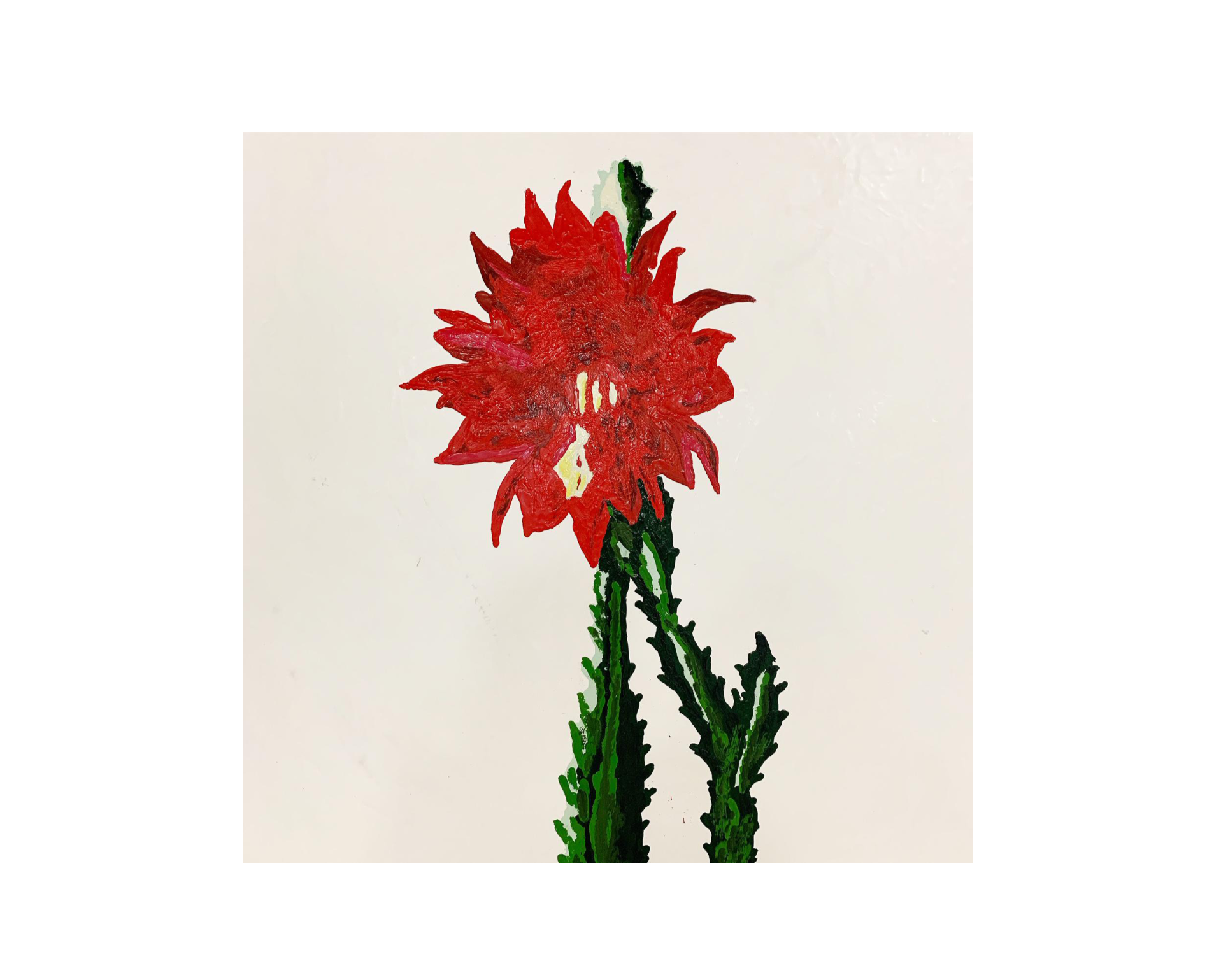 Botanical, 5. - FORSYTH