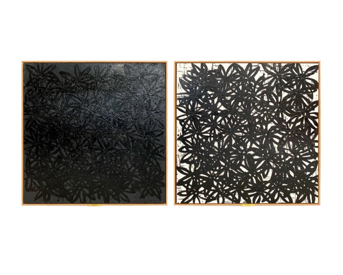 Daisies, Black and White. - FORSYTH
