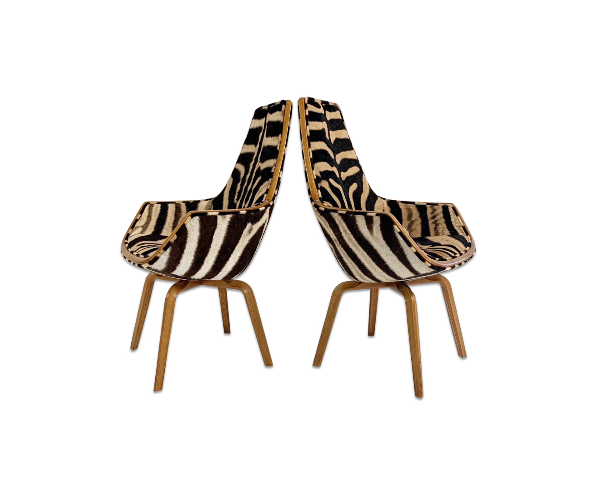 Rare Giraffe Chairs in Zebra Hide, pair - FORSYTH