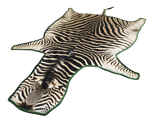 Zebra Hide Rug, Trimmed in Velvet - FORSYTH