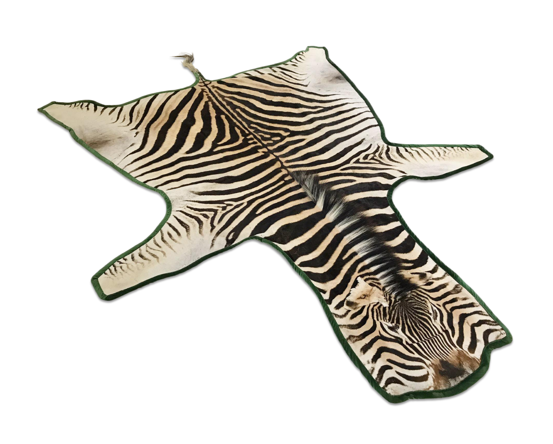 Zebra Hide Rug, Trimmed in Velvet - FORSYTH