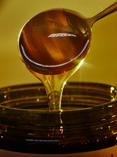 Biointensive Native Wildflower Honey