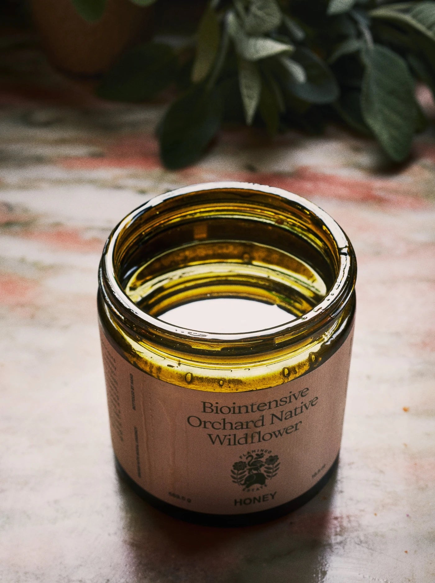 Biointensive Native Wildflower Honey