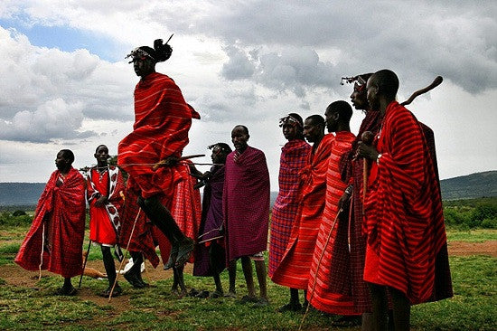 Zebra Hide Rug, Trimmed in Maasai Shuka - FORSYTH