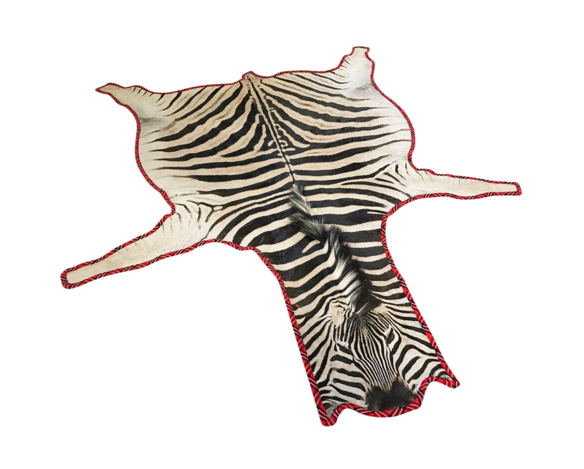 Zebra Hide Rug, Trimmed in Maasai Shuka - FORSYTH