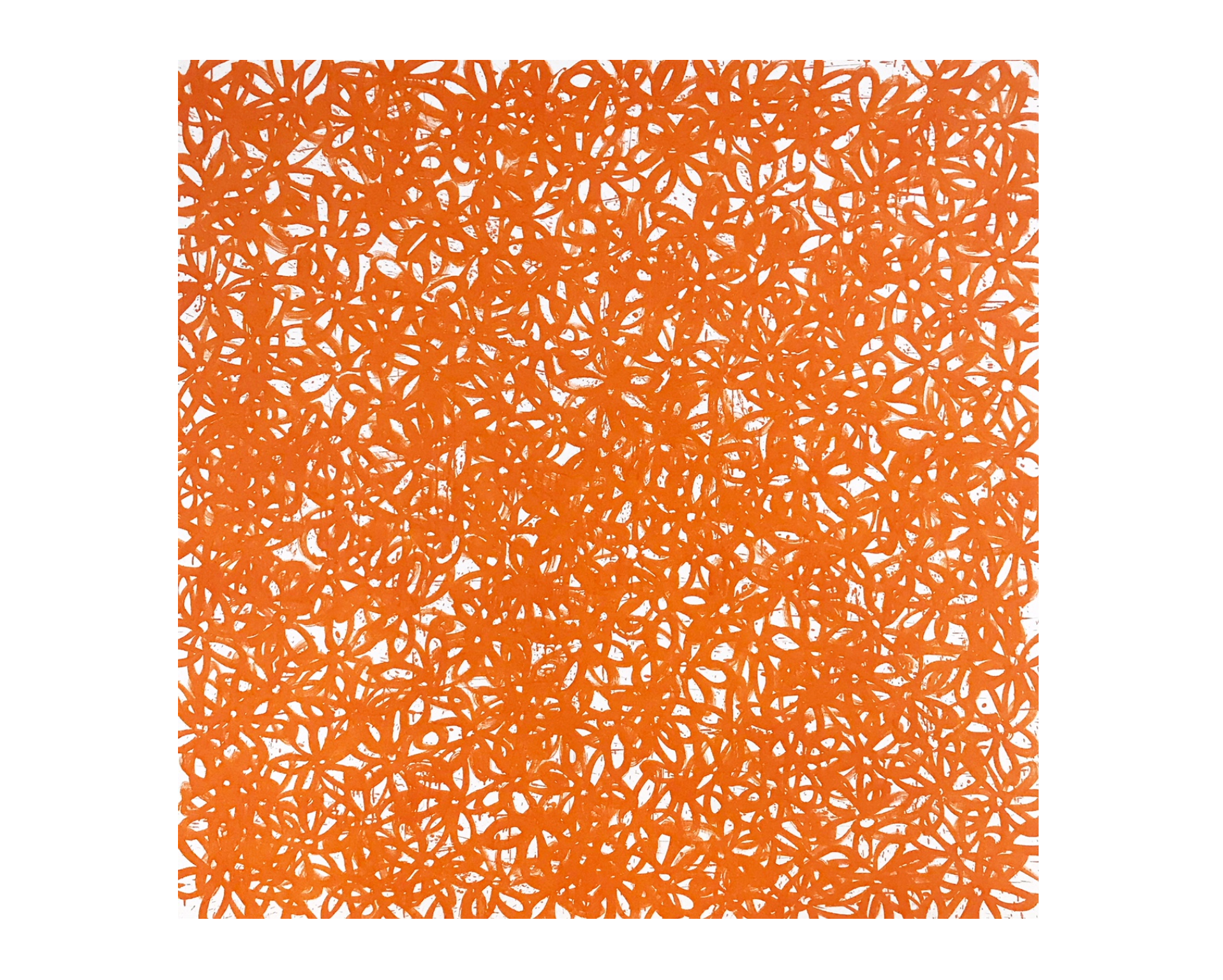 Daisies, Orange. - FORSYTH