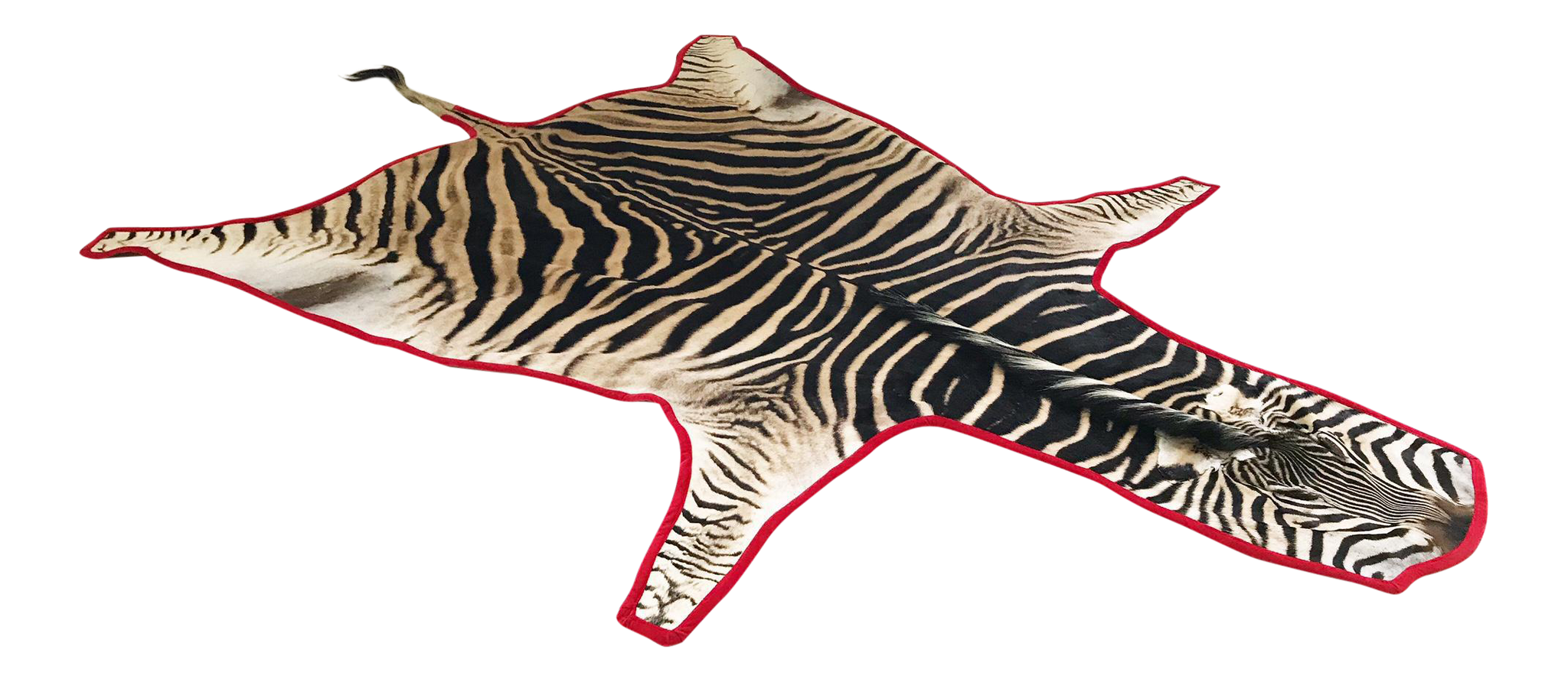 Zebra Hide Rug, Trimmed in Velvet - FORSYTH