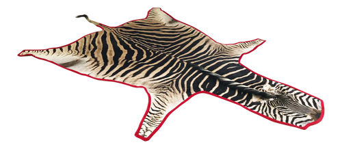 Zebra Hide Rug, Trimmed in Velvet - FORSYTH