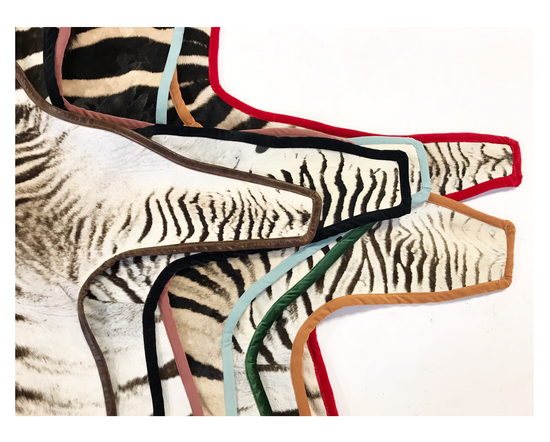 Zebra Hide Rug, Trimmed in Velvet - FORSYTH